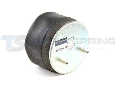 W01-358-8709 | Firestone Airide Air Spring | 1T17CA-5