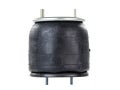 W01-358-9223 | Firestone Airide Air Spring | 1T15M-6